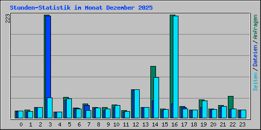 Stunden-Statistik im Monat Dezember 2025