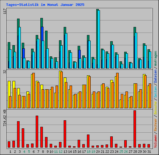 Tages-Statistik im Monat Januar 2025