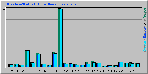 Stunden-Statistik im Monat Juni 2025