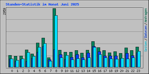 Stunden-Statistik im Monat Juni 2025