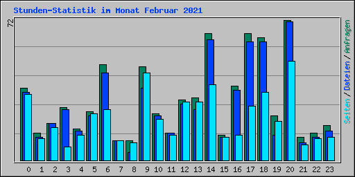 Stunden-Statistik im Monat Februar 2021