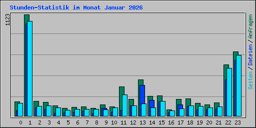 Stunden-Statistik im Monat Januar 2026