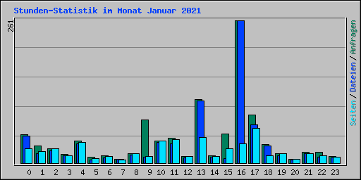 Stunden-Statistik im Monat Januar 2021