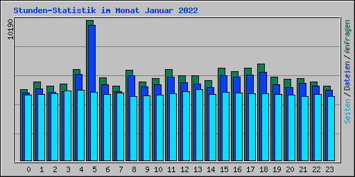 Stunden-Statistik im Monat Januar 2022