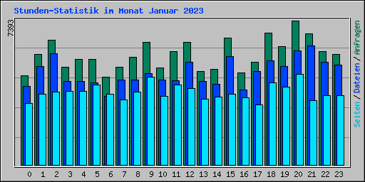 Stunden-Statistik im Monat Januar 2023